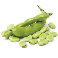 Dolichos Beans
