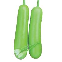 Bottle Gourd